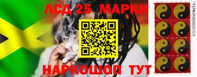 гидропоника Гусев